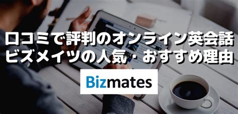 bizmates fms